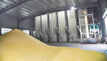 糧食烘干機(jī) 農(nóng)業(yè)機(jī)械行業(yè)的下一個(gè)萬(wàn)億級(jí)藍(lán)海
